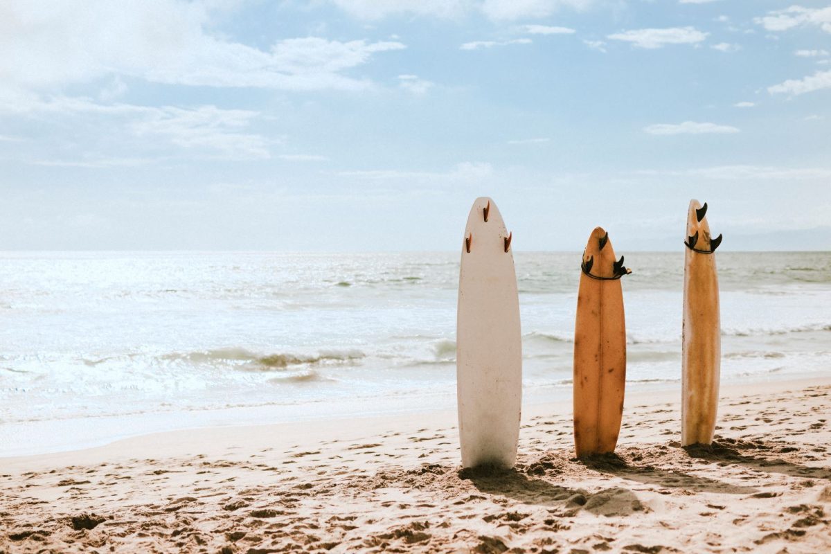 Surf boards in the sand