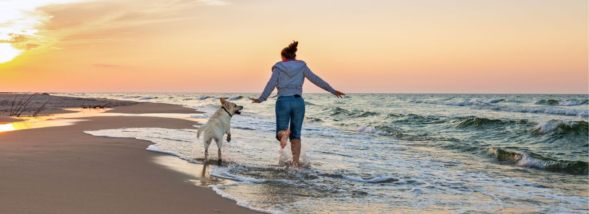 A Complete Guide To Dog Friendly New Smyrna Beach Feature Image
