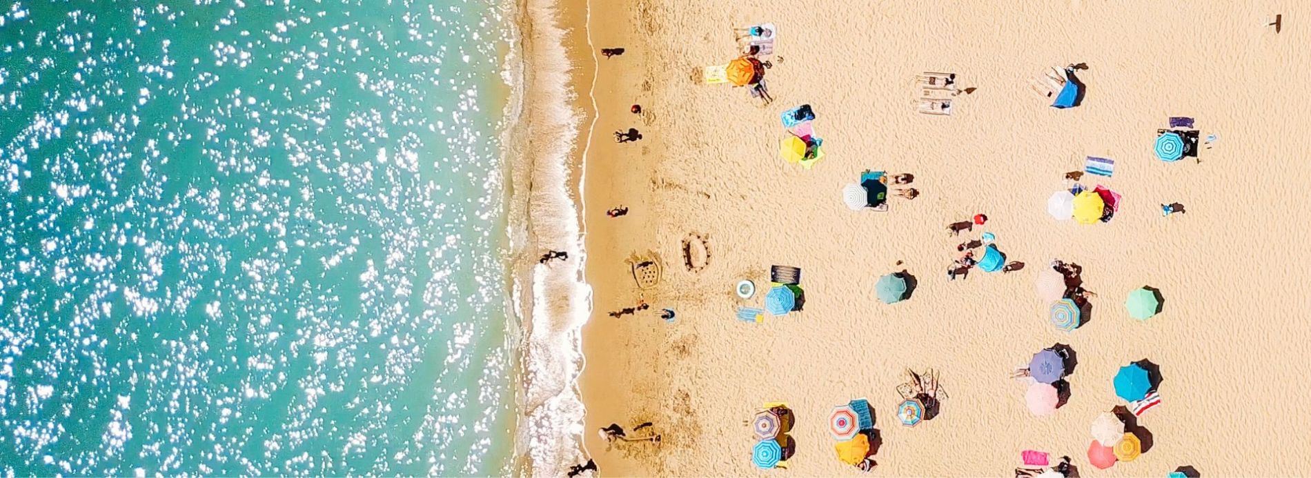New Smyrna Beach Spring Activities Guide Feature Image